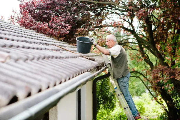 Gutter Cleaner in Annapolis, MD