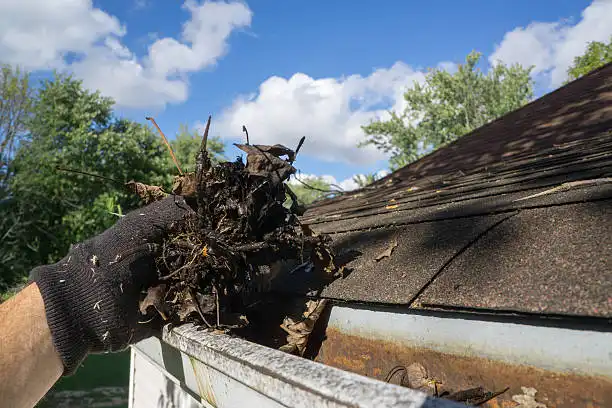 MD Gutter Cleaning's Other Services MD Gutter Cleaning's Other Services